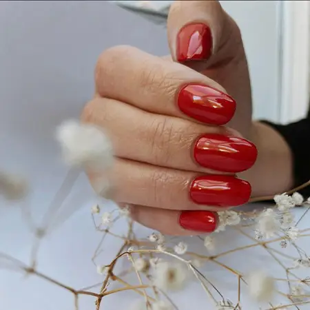 Classy Yet Pretty Gel Nails Paint